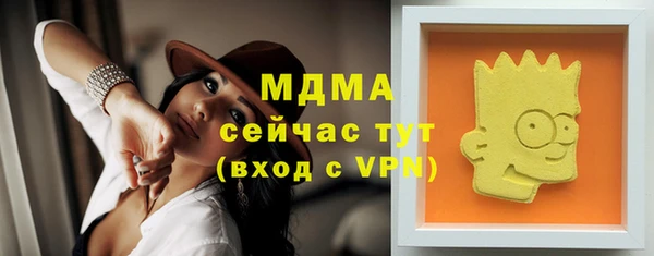 крисы Горняк
